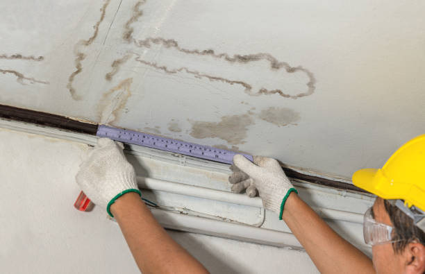 Reliable Mold Remediation contractor in Long Bottom, OH by Water Damage Irwin